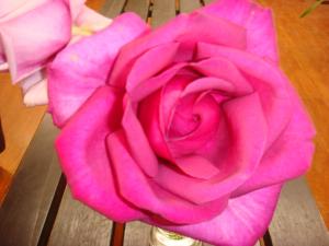お庭のバラを頂きました★｜「カネキ」　（静岡県湖西市の花キューピット加盟店 花屋）のブログ